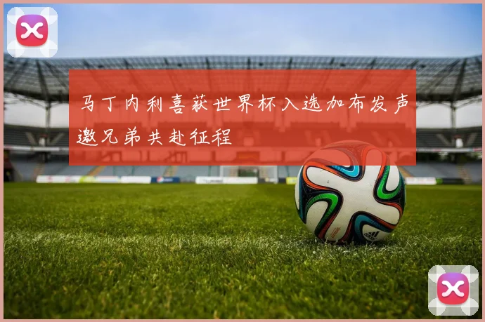 马丁内利喜获世界杯入选加布发声邀兄弟共赴征程