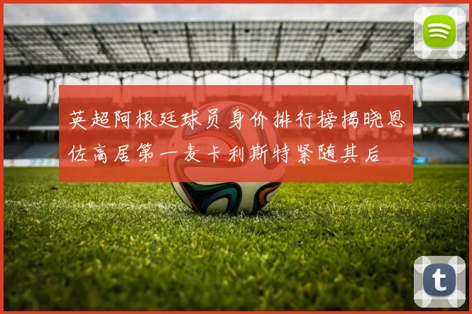 英超阿根廷球员身价排行榜揭晓恩佐高居第一麦卡利斯特紧随其后